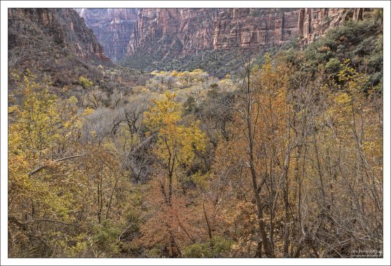 Тропа через каньон Эхо - одна из старейших в парке Зайон,
проложена еще в начале 20-го века.