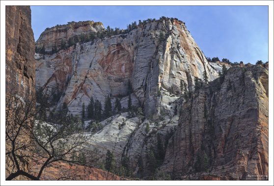 Большое обнажение розового и белого песчаника навахо на восточной стороне Зайона.