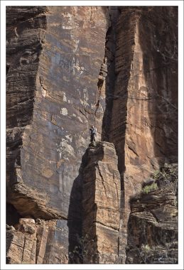 Спуск на веревках (rappelling) в Зайоне.