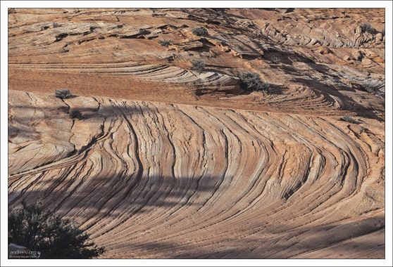 Песок в конечном итоге превратился в песчаник из-за давления вышележащих слоев,
в сочетании с цементирующим действием насыщенных минералами грунтовых вод.