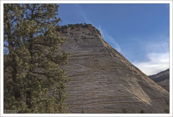 Checkerboard Mesa.
Необычный рисунок трещин на холме из песчаника напоминает сетку,
очень похожую на шахматную доску.