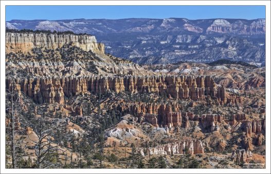 Главный Амфитеатр в каньоне Брайс.