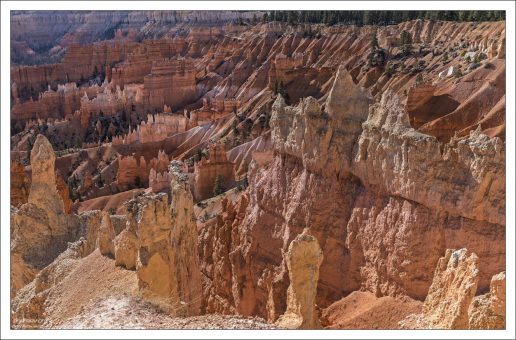 Переходы цветов на песчанике в главном амфитеатре каньона Брайс.