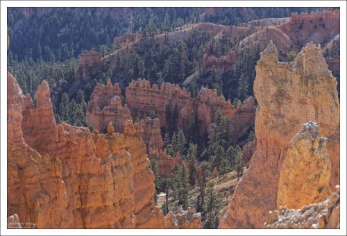 Брайс-Каньон известен характерными худу, шпилями и башнями, которые выглядят как каменный лес.