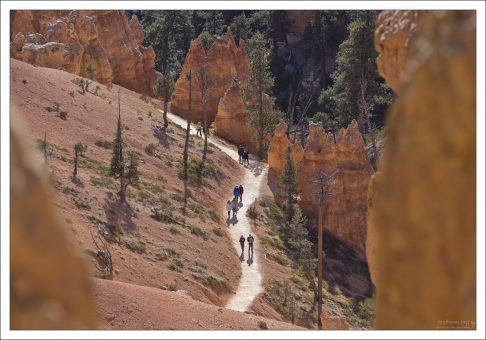 Тропа по краю Брайс каньона проходит на высоте от 2400 до 2700 метров.