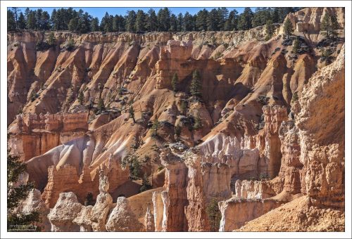 Ярко-оранжевые и светло-коричневые мелкозернистые осадочные породы формации Кларон являются отличительной чертой национального парка Брайс.
