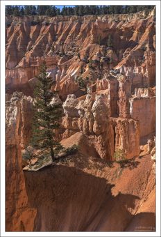 Худу не растут как деревья, а выветриваются из утесов.