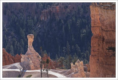 Начало тропы The Queens Garden Trail (Сад Королевы).