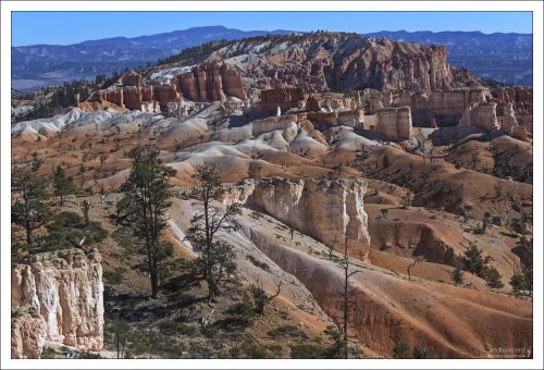 Национальный парк Брайс-Каньон намного меньше и находится на гораздо большей высоте, чем близлежащий национальный парк Зайон.