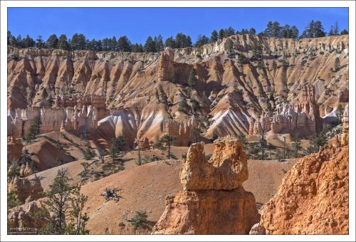 До того, как эта область заполнилась худу, она была покрыта водой.
Около 40 млн лет назад сегодняшний каньон Брайс был огромным бассейном.