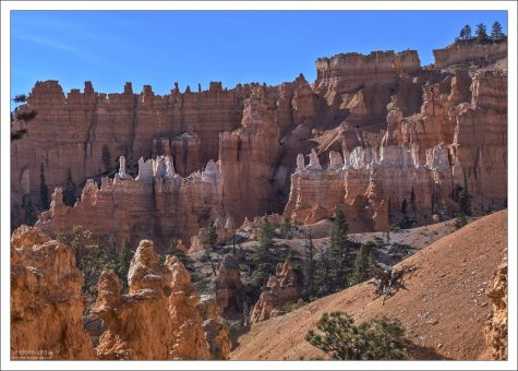 Эрозированные формы песчаника вдоль тропы Сад Королевы.