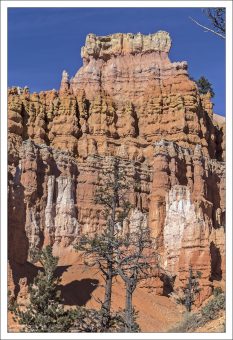 Известняк, алевролит, доломит и аргиллит составляют четыре различных типа горных пород, образующих формацию Кларон. Каждый тип породы разрушается с разной скоростью, что и вызывает волнистую форму худу.