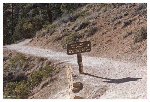 Указатели на тропах в Брайс-каньоне отражают окружающие цвета.