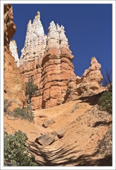 Доломит, известняк и алевролит очень твердые и образуют защитный слой на большинстве шпилей.