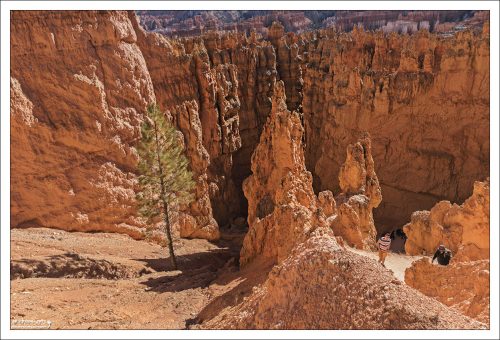 Верхняя часть тропы Петля Навахо.