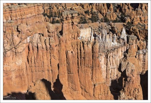 Брайс-Каньон имеет одну из самых высоких концентраций худу среди всех мест на Земле.