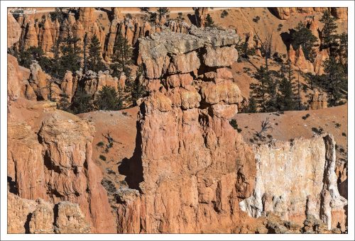 Тройной худу, хорошо освещенный низким солнцем.