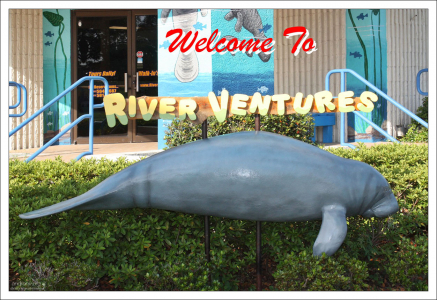 Офис компании "River Ventures" в городе Crystal River, западная Флорида.