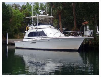 Входим в реку Crystal River.