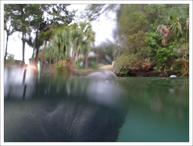 Национальный заповедник дикой природы Кристал-Ривер.