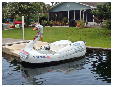 "Лебедь" в аренду.