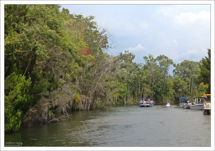 Спокойная вода в реке Crystal River.