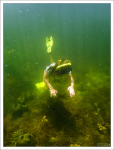 Июль - самое начало сезона охоты за морскими гребешками.