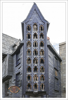 Почту в магическом мире доставляют совы.