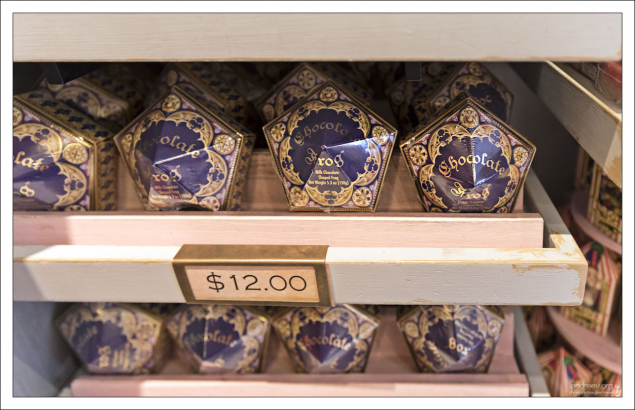 Шоколадные лягушки (англ. Chocolate Frogs) — распространённые в мире волшебников сладости. В фильме они могут недолго двигаться и даже прыгать, в книге же это просто шоколадные изделия, имеющие форму лягушки.