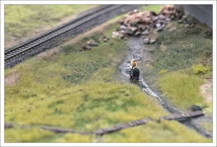 Путин на медведе.