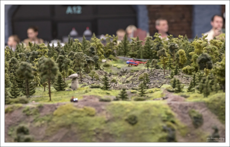 Место падения Тунгусского метеорита (1908 г.).