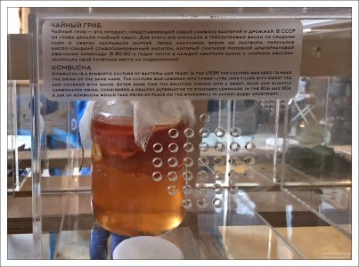 Чайный гриб из прошлого.
Сегодняшнее название – комбуча – неправильное: оно происходит от японского чая из морских водорослей комбу, за который по ошибке принимали чайный гриб.