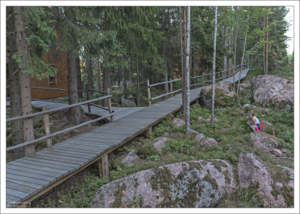 Заселение в семейный коттедж #10 на базе "Илоранта", недалеко от Выборга.