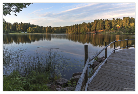 Большое Лесное озеро, на берегу которого расположена турбаза. В озере водится крупный окунь, щука, лещ, линь, иногда попадается судак.