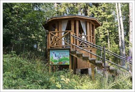 Молодильный банный чан для купания по рецепту Конька-Горбунка.
Снизу расположена дровяная печь, вода в чане разогревается примерно до 45 градусов. В нем рекомендуется находиться подходами до 15 минут, а между ними делать передышку или окунаться в озеро.