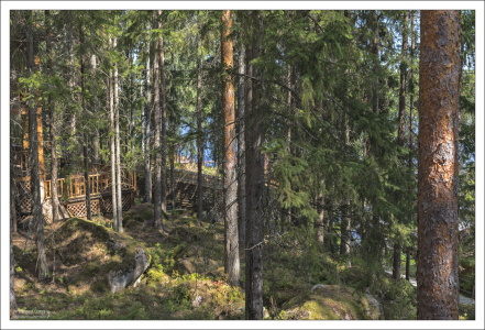 Соседний коттедж частично скрыт за деревьями.