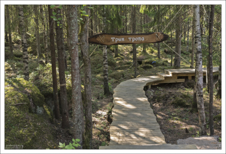 Трын-тропа через лес возле базы.