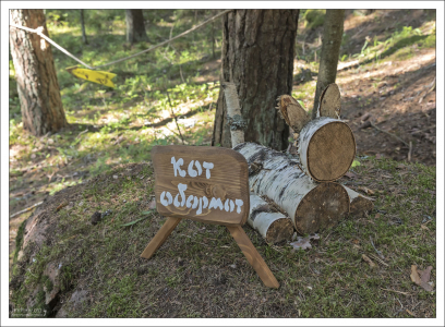 Кот-обормот из березовых дров.