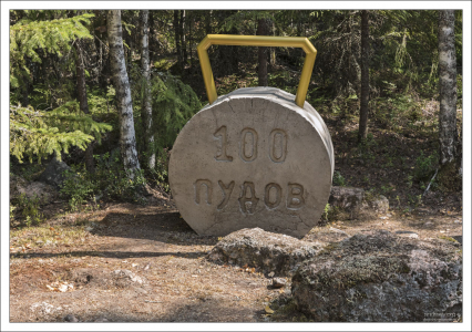 Спортзал на открытом воздухе.