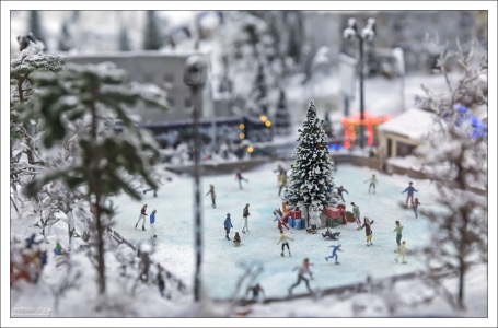 Каток возле ёлки.