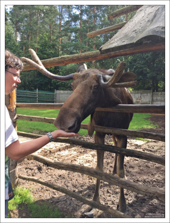 Кормим Лососика разрешенной едой.
Потом радостно чихнул на дочку, чем вызвал бурный восторг :)