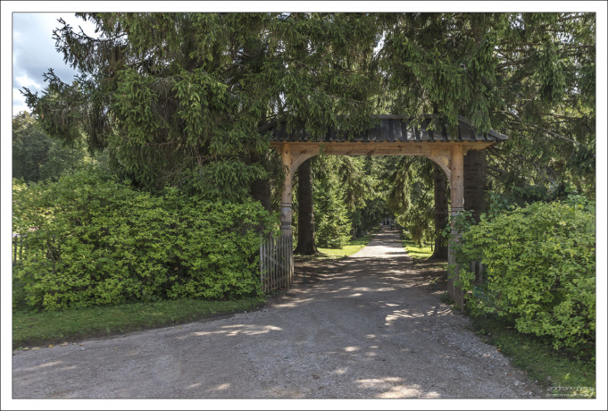 Мемориальная еловая аллея посажена в 1780-х годах дедом А.С. Пушкина О.А. Ганнибалом.