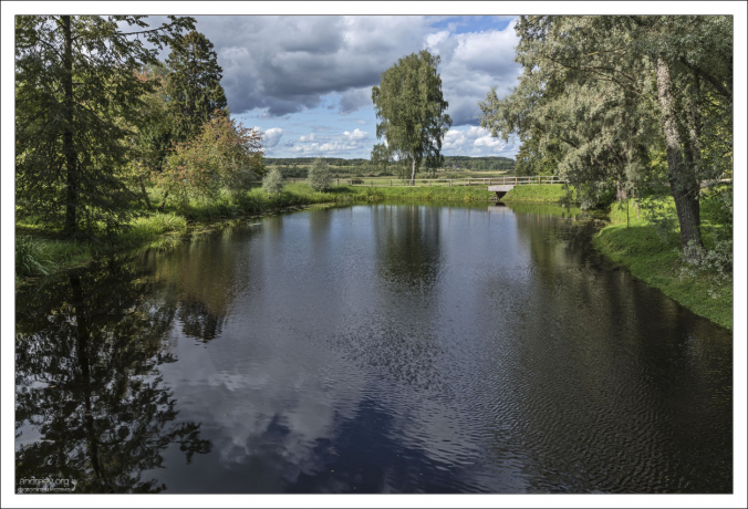 Пруд с необычным названием «Под сенью ив густых».
...Да пруд под сенью ив густых,
Раздолье уток молодых.