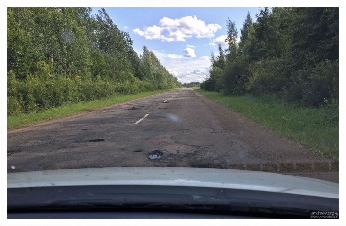 Платная дорога в густых псковских лесах.