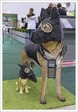 “Зараженная” зона, где ходят собаки в противогазах.
