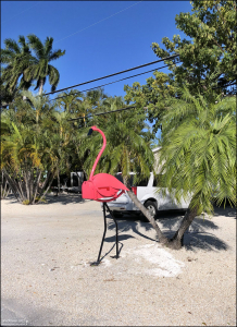 Почтовый ящик в виде фламинго.