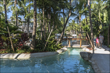 На территории гостиницы Cheeca Lodge.