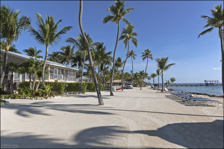 Частный пляж гостиницы Cheeca lodge.