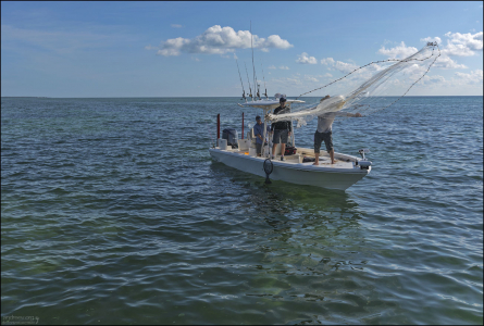 Исламорада считается одним из лучших мест в США для спортивной рыбалки.