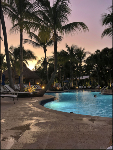 Вечерний заплыв.